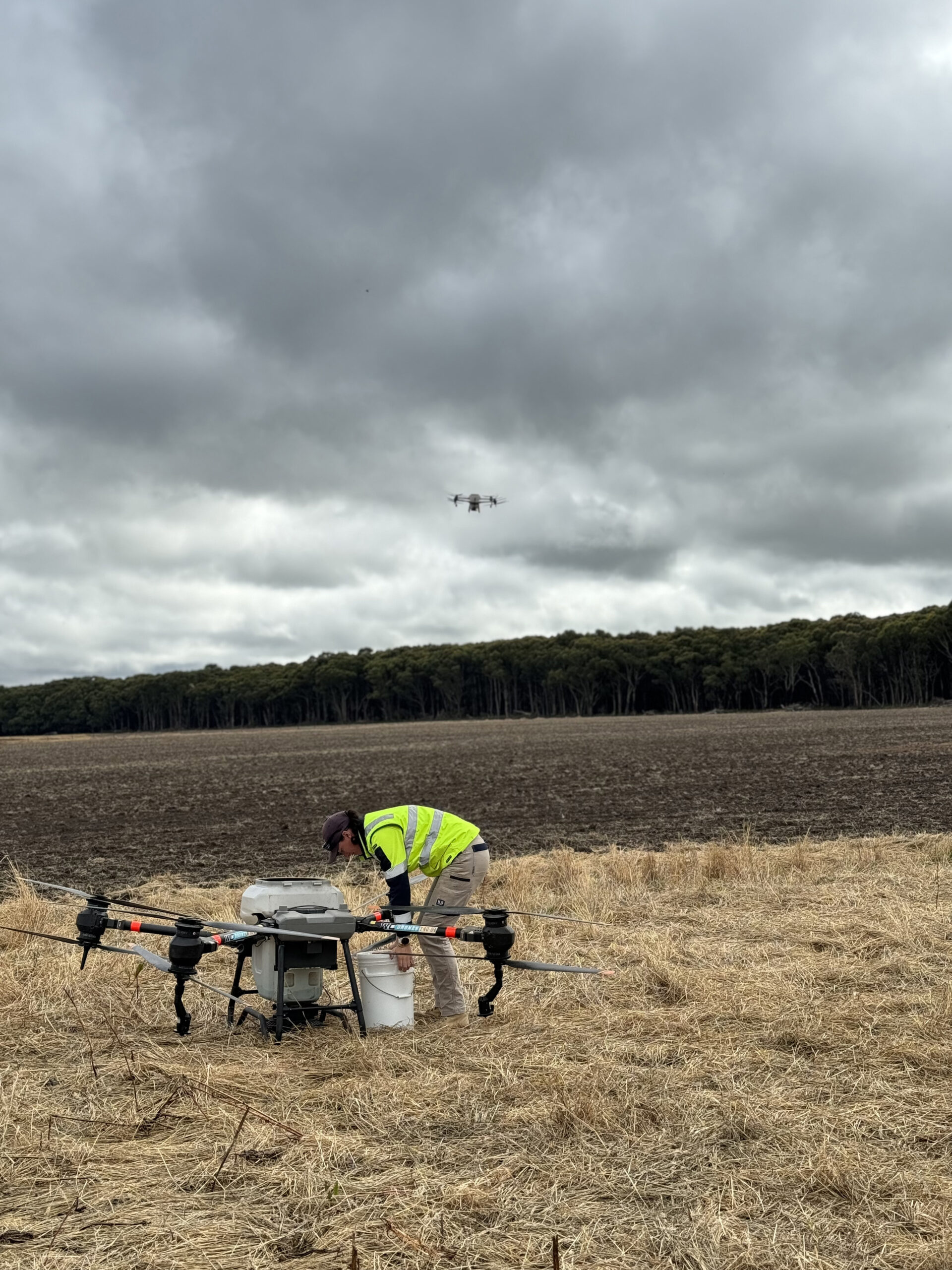 Drone services in agriculture