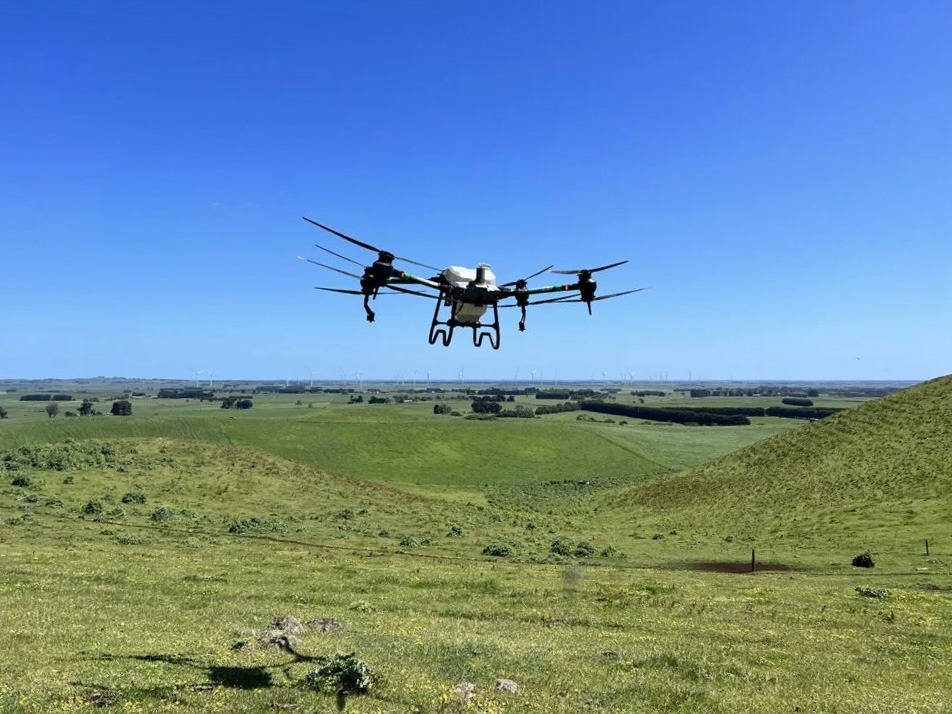 Drones in agriculture
