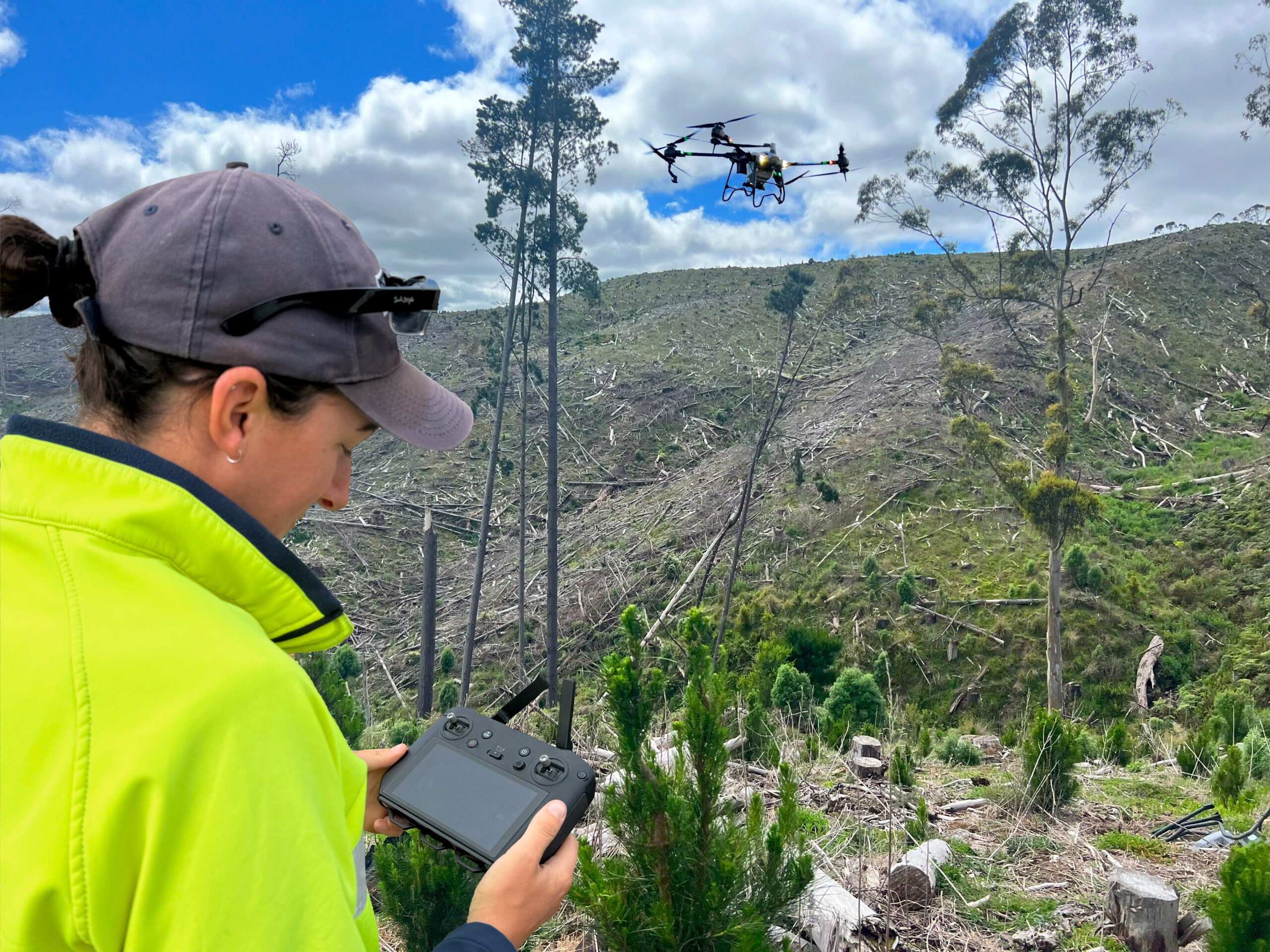 Forestry drones