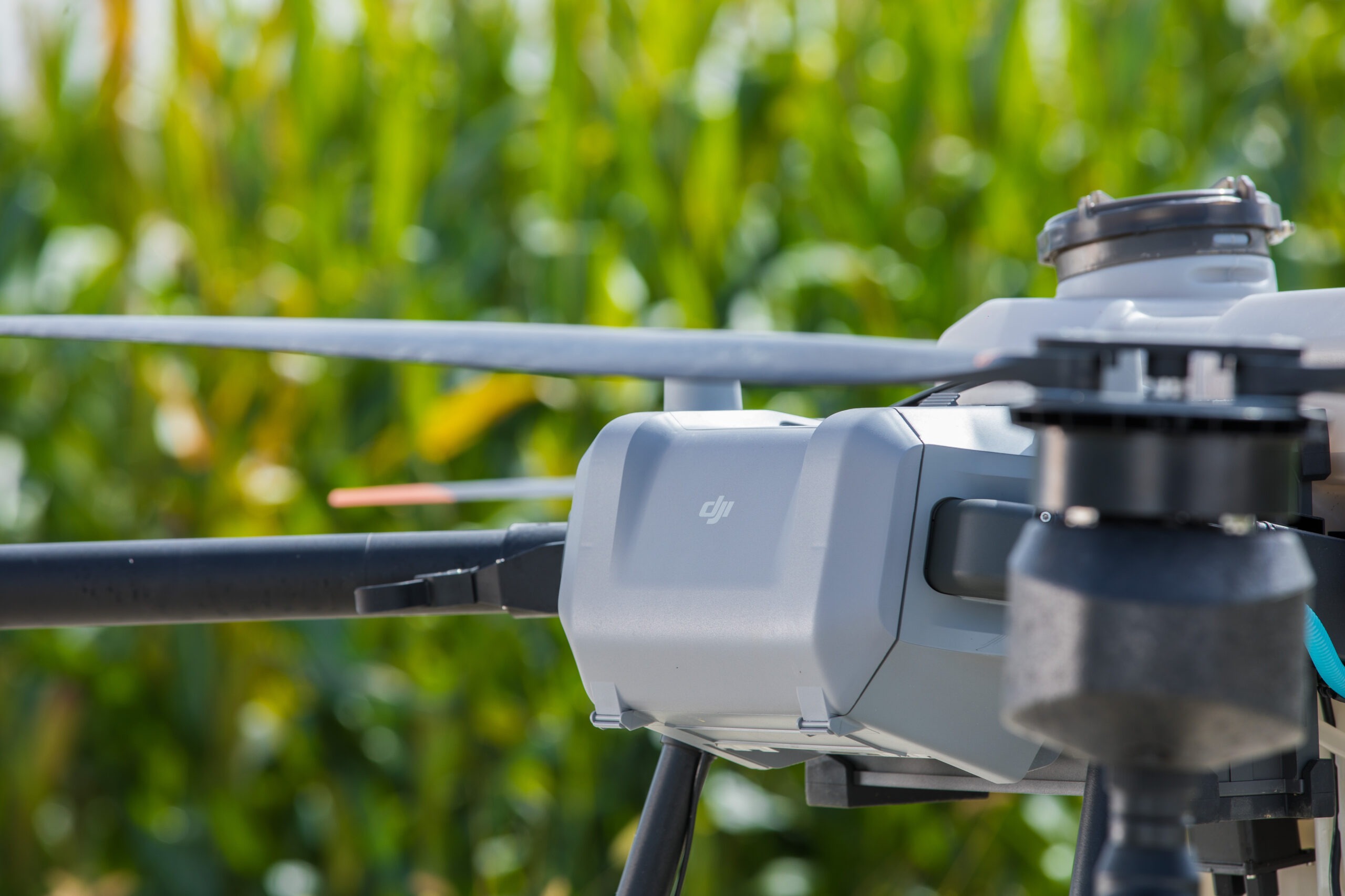 dji t25 drone