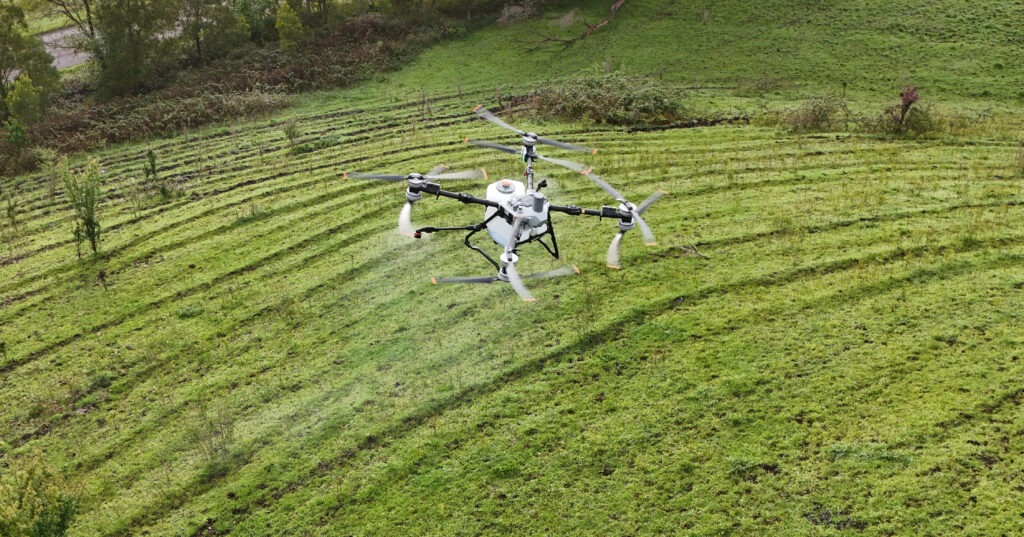 DJI Agras T100 spraying thistles