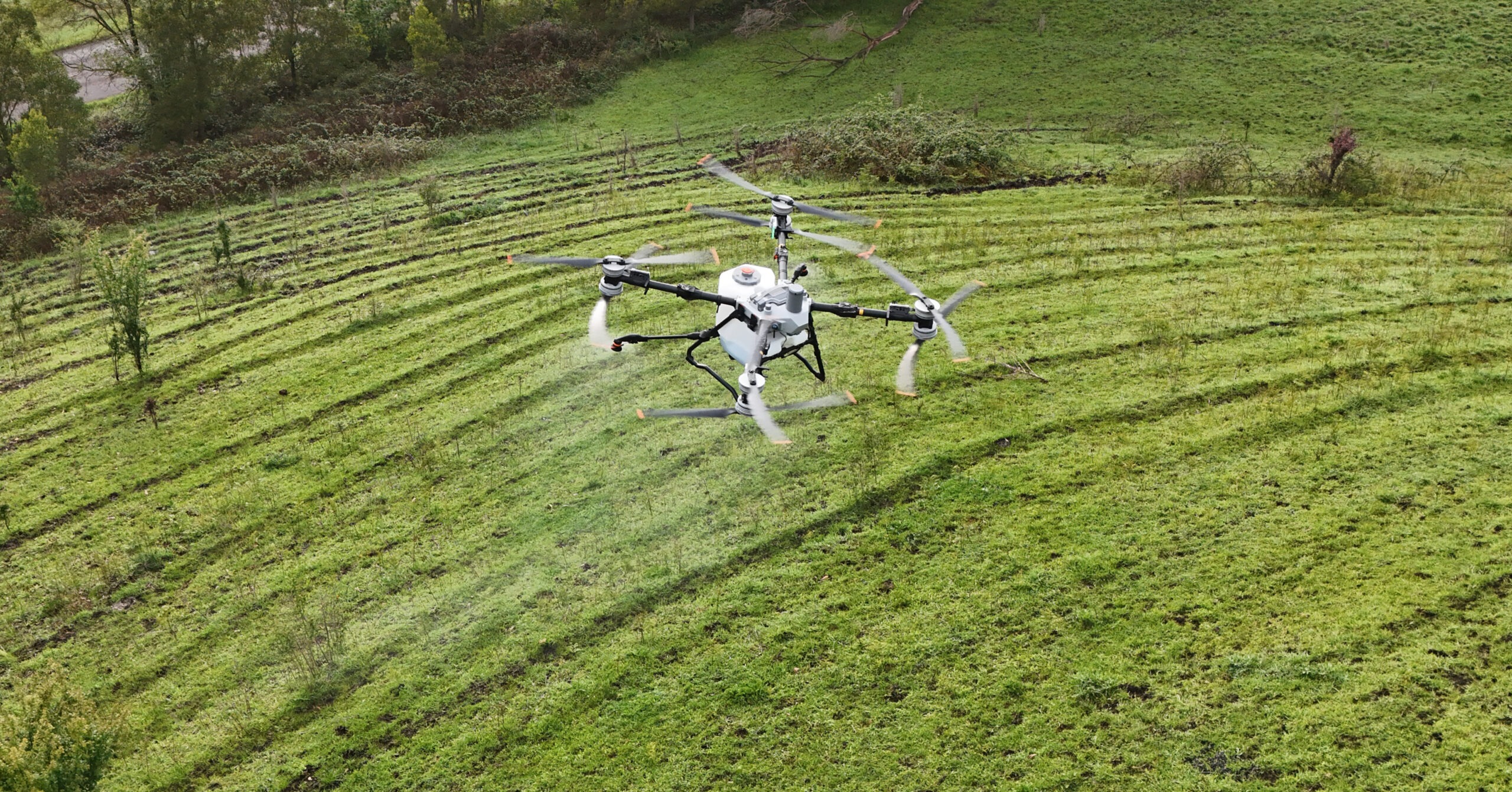 DJI Agras T100 spraying thistles