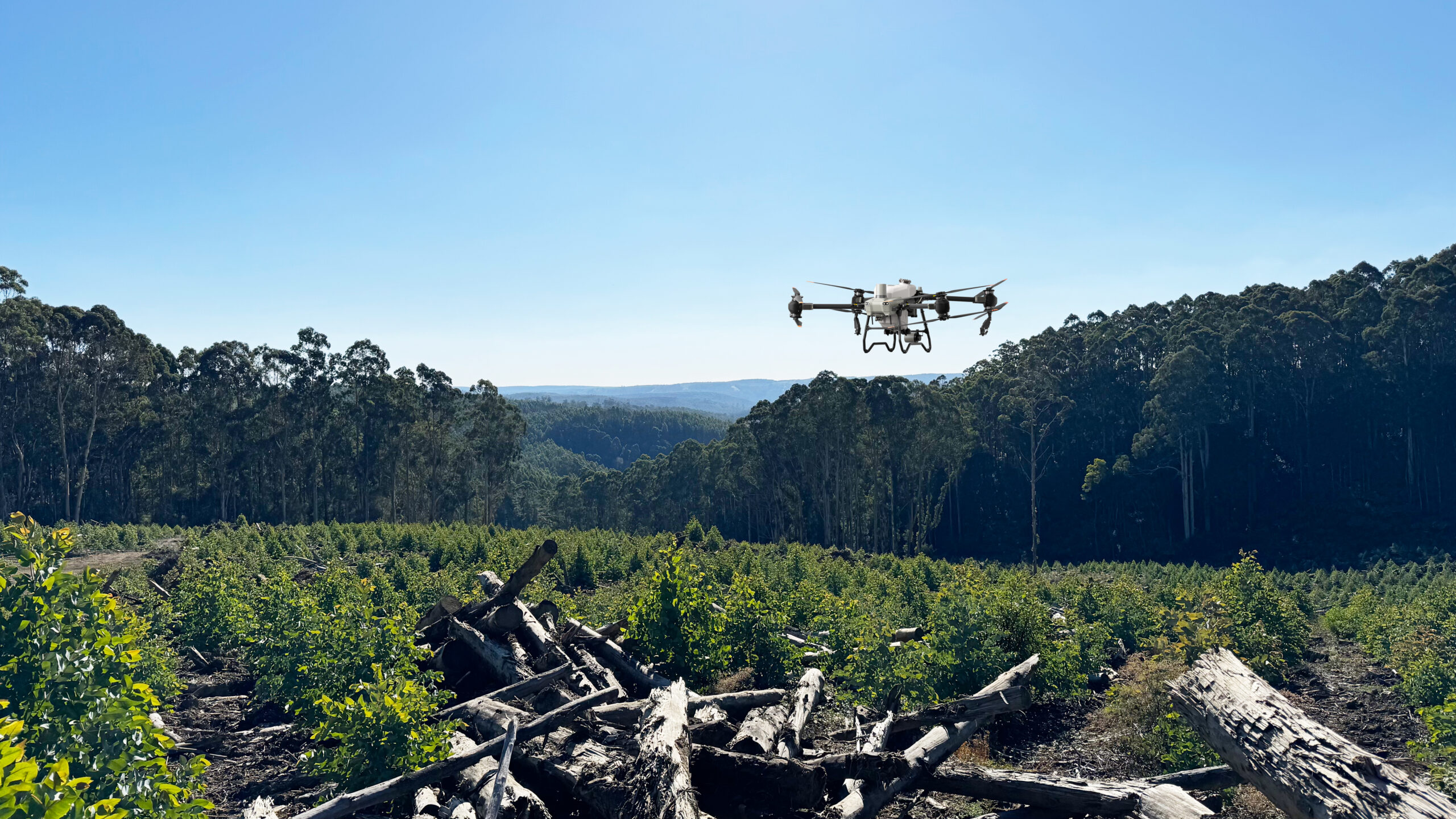 webber & chivell drones forestry